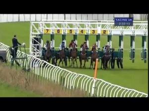 Video preview image for Thirsk 14:30 - Download The Free Racing UK App Claiming Stakes