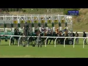 Video preview image for Musselburgh 14:10 - Tdc Waste Management Handicap (Qualifier For The 15,000 Betfair Scottish Mile Series Final)