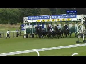 Video preview image for York 15:05 - Neptune Investment Management Great Voltigeur Stakes (Group 2)