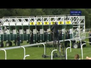 Video preview image for York 15:40 - Juddmonte International Stakes (Group 1) (British Champions Series)