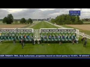 Video preview image for York 16:55 - betvictor.com Nursery