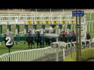 Video preview image for Musselburgh 17:35 - Redbuild Amateur Riders' Handicap