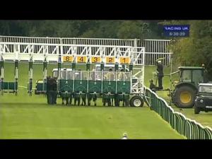 Video preview image for Warwick 18:30 - E.B.F. Stallions/The Power Of Bee Venom Maiden Fillies' Stakes