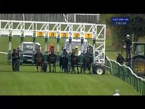 Video preview image for Warwick 19:00 - Mclarens Loss Adjusters Nursery