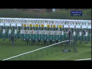 Video preview image for Warwick 20:00 - Trelawny Spt Ltd Handicap