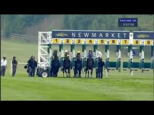 Video preview image for Newmarket 15:55 - Turftv Handicap