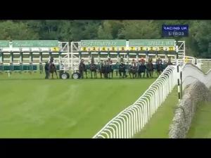 Video preview image for Goodwood 17:10 - Chichester Observer Apprentice Handicap
