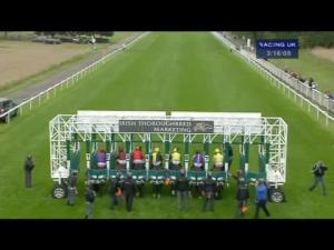 Video preview image for York 15:15 - Irish Thoroughbred Marketing Gimcrack Stakes (Group 2)