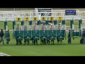 Video preview image for York 16:25 - Julia Graves Roses Stakes (Listed)
