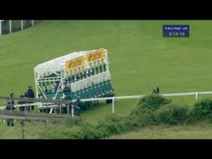 Video preview image for Goodwood 17:15 - Carlisle Support Services Handicap