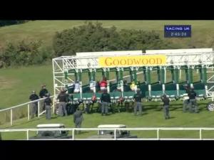 Video preview image for Goodwood 14:45 - Goodwood Revival Selling Stakes