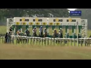 Video preview image for Beverley 14:55 - Wold Top Beer Festival Here Today Handicap