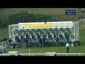Video preview image for Goodwood 17:00 - Greene King Fillies' Handicap (Sunday 5K Bonus Race)