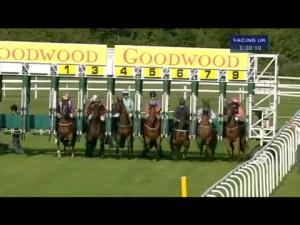 Video preview image for Goodwood 17:30 - August Bank Holiday Handicap