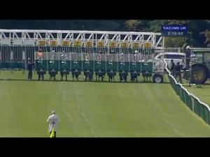 Video preview image for Warwick 14:10 - racinguk.com Handicap