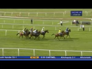 Video preview image for Bangor-On-Dee 14:50 - Aejis Novices' Handicap Hurdle