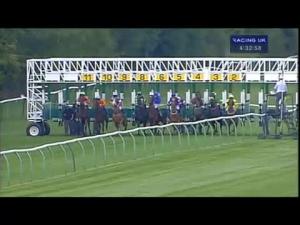 Video preview image for Warwick 16:30 - British Stallion Studs E.B.F. Maiden Stakes