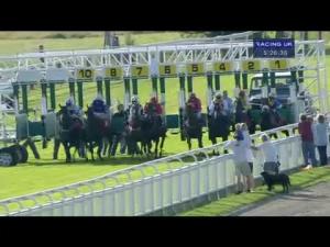Video preview image for Epsom Downs 17:25 - Ewell Handicap