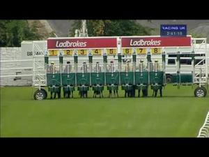 Video preview image for Hamilton Park 14:40 - Dm Hall Handicap