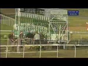 Video preview image for Kempton Park 18:50 - Conor Maynard 14.09.13 Handicap