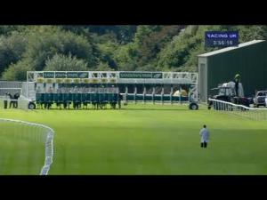 Video preview image for Sandown Park 15:55 - Edgeley Park Classic Handicap