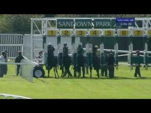 Video preview image for Sandown Park 16:25 - Surbiton Maiden Fillies' Stakes
