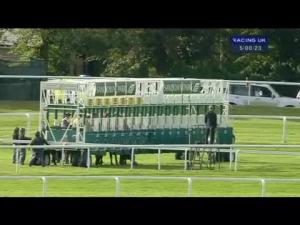 Video preview image for Sandown Park 17:00 - Hwfa Williams Handicap
