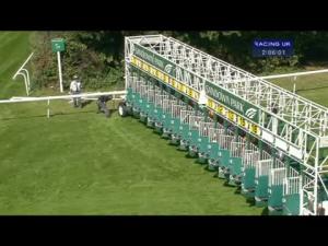 Video preview image for Sandown Park 14:05 - Betfred Goals Galore Handicap