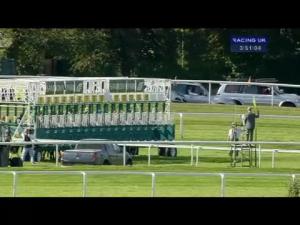 Video preview image for Sandown Park 15:50 - Betfred TV & Levy Board Handicap