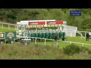 Video preview image for Hamilton Park 15:10 - Download The Free Racing UK App Handicap
