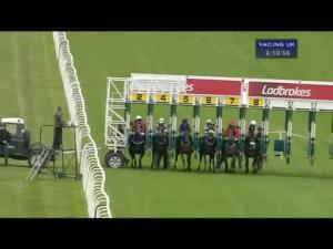 Video preview image for Hamilton Park 16:10 - Racing UK On Sky Channel 432 Handicap