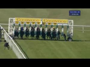 Video preview image for Goodwood 14:55 - E.B.F. Racing UK Maiden Fillies' Stakes