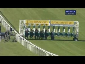 Video preview image for Goodwood 15:30 - Peter Willett Conditions Stakes