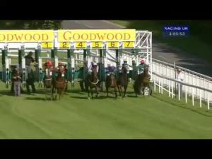 Video preview image for Goodwood 16:05 - Badger Ales Nursery