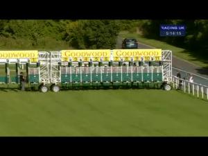 Video preview image for Goodwood 17:10 - Golf At Goodwood Handicap