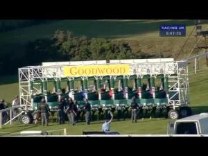 Video preview image for Goodwood 17:40 - Goodwood Aviation & Flying School Handicap