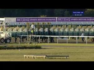 Video preview image for Kempton Park 18:30 - Winners Are Welcome At Betdaq Nursery