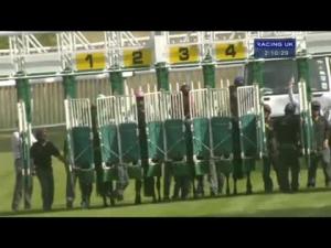 Video preview image for Salisbury 14:10 - Breeders Back Racing/Whitsbury Manor Stud E.B.F. Novice Stakes