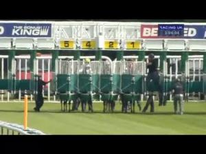 Video preview image for Haydock Park 15:00 - Betfred Salford Red Devils' 'Tackle Health' E.B.F. Maiden Stakes