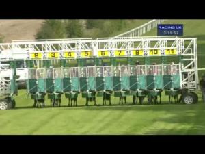 Video preview image for Salisbury 15:15 - E.B.F. & Sam Sheppard Quidhampton Maiden Fillies' Stakes (Div 2)