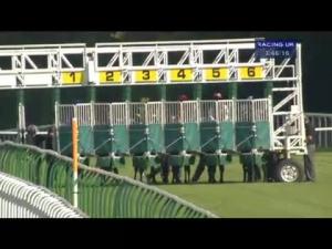 Video preview image for Salisbury 15:45 - E.B.F. Stallions & Country Gentlemen's Association Dick Poole Fillies' Stakes (Listed)