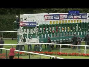 Video preview image for Haydock Park 16:40 - Betfred Mobile Casino Handicap (Gentleman Amateur Riders)