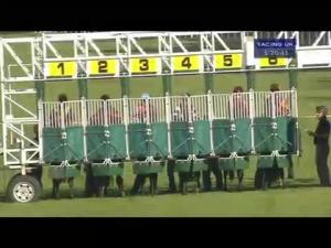 Video preview image for Salisbury 17:20 - Sydenhams Maiden Stakes