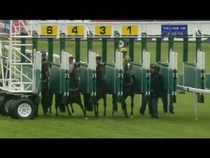 Video preview image for Haydock Park 17:00 - Betfred Bolton Central Bni Handicap