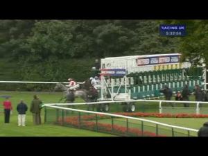 Video preview image for Haydock Park 17:30 - Betfred Clyde & Co Maiden Stakes