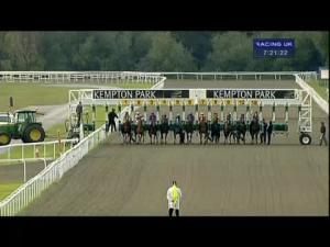 Video preview image for Kempton Park 19:20 - Advanced Tree Services Limited/Irish Stallions E.B.F. Maiden Stakes
