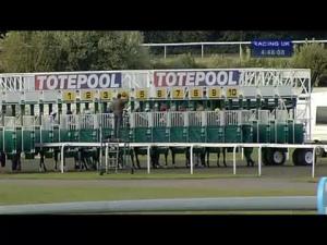 Video preview image for Kempton Park 16:45 - Totequickpick Handicap