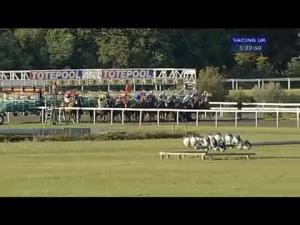 Video preview image for Kempton Park 17:20 - Totetrifecta Handicap (Div 1)
