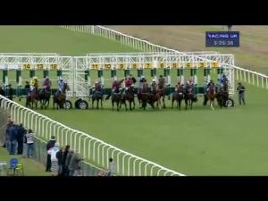 Video preview image for Thirsk 17:25 - Hambleton Cup (Handicap)