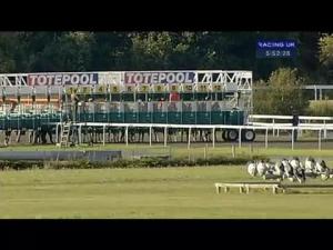 Video preview image for Kempton Park 17:50 - Totetrifecta Handicap (Div 2)